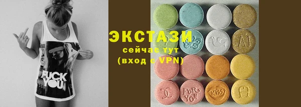 амф Каменка