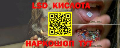 apvp Обнинск