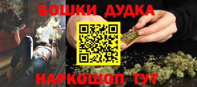 стаф Дубна