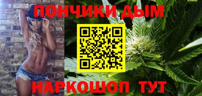 стаф Дубна