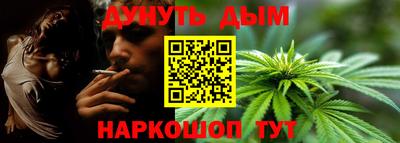 стаф Дубна