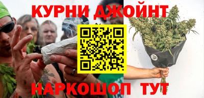 стаф Дубна