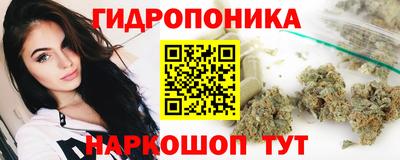 стаф Дубна