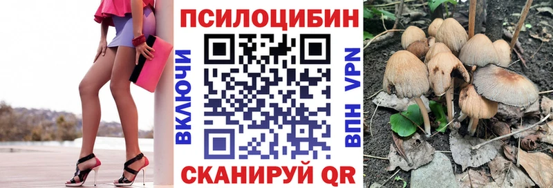 Галлюциногенные грибы Psilocybe  дарк нет официальный сайт  Кувандык  наркошоп 