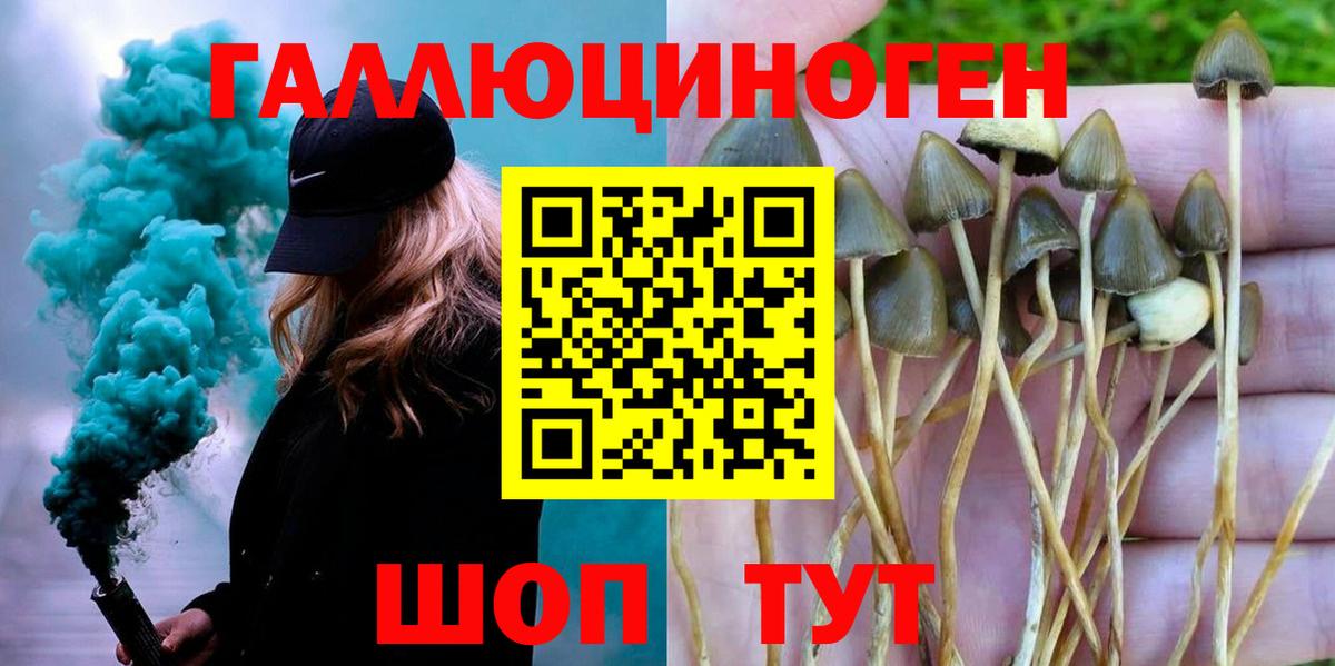 Кувандык  Галлюциногенные грибы Cubensis  Псилоцибиновые грибы Magic Shrooms  Вход с VPN 