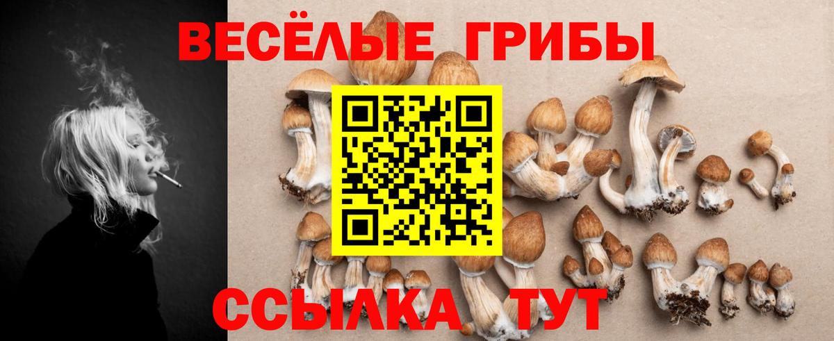 Галлюциногенные грибы Magic Shrooms Кувандык
